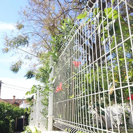 Apartament Del Parque Flats Pina